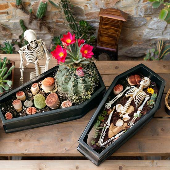 Halloween Casket Planter Gothic Plant Pot Resin Casket Flower Pot for Succulents Home Indoor Shelf Windowsill Decoration