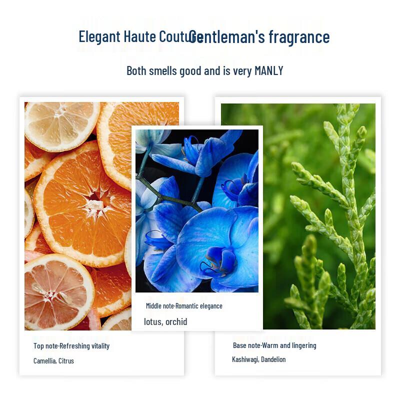 Adolph Tea Tree Men's Shampoo