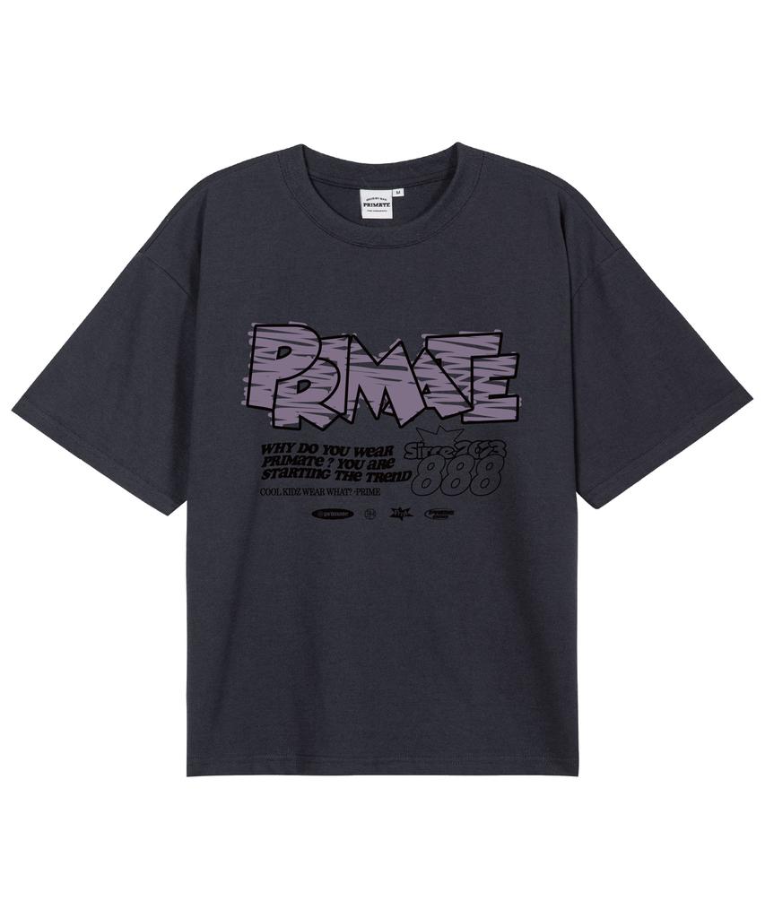 PRIMATE [Cool Cotton] Fury Oversized Short Sleeve T-Shirt 6 Colors (B Type)