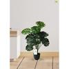18 Green Leaves | Big Ornamental Plant for Interior Decor/Home Decor/Office Decor | 63.5 Cm Tall Natural Looking Plant