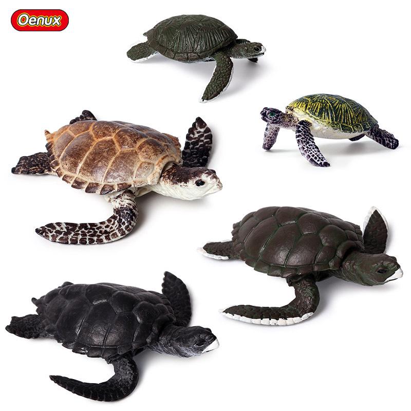 Children's Cognitive Marine Animal Models: Sea Turtle and Tortoise Toys