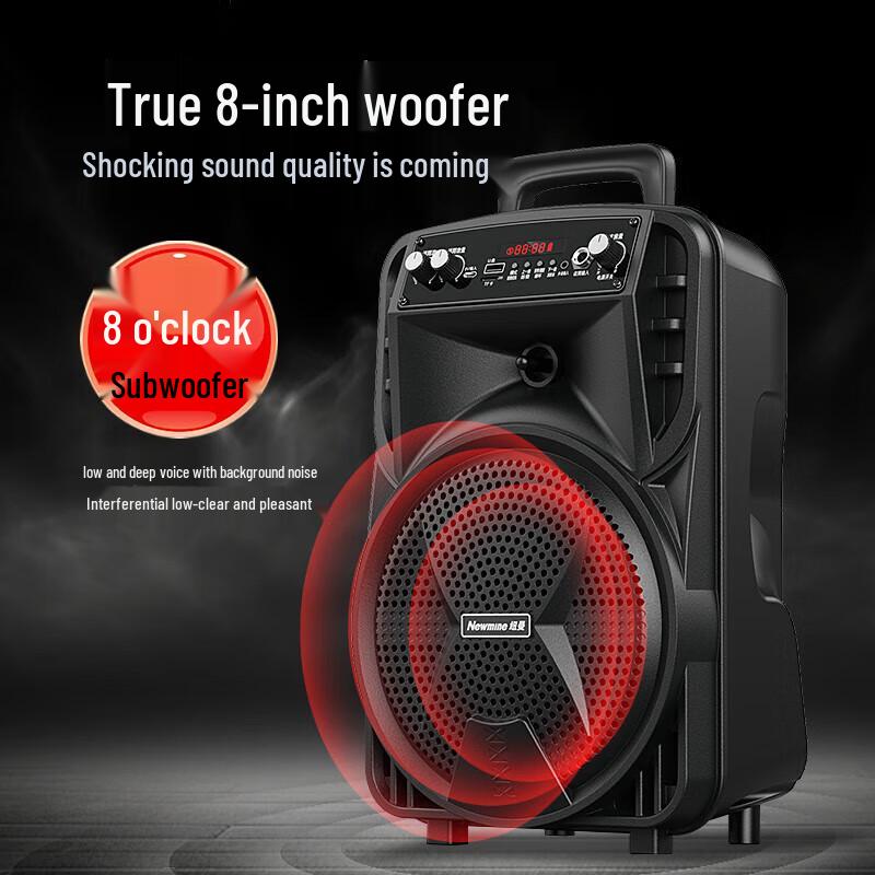 Newman N509 Portable Bluetooth Karaoke Speaker CN Plug (adapter Included)