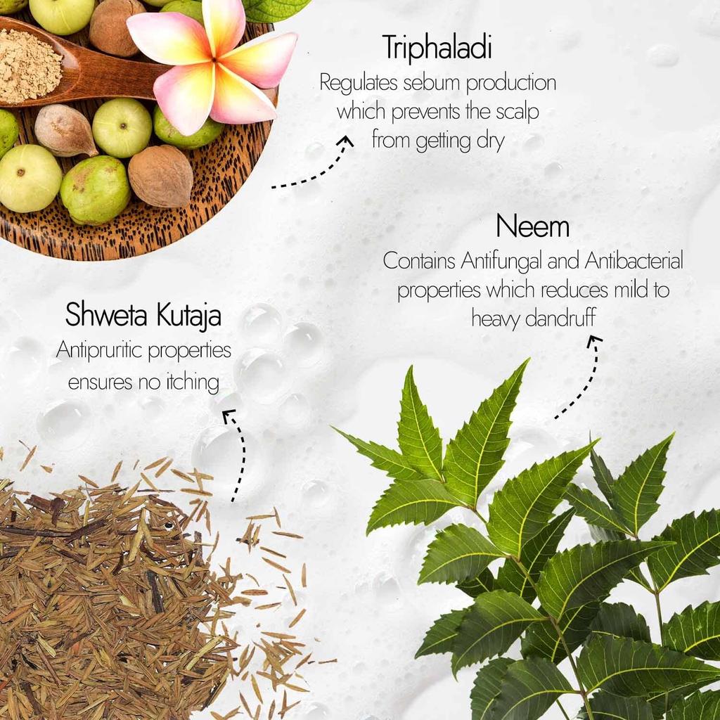 Kapiva Dandruff Control Neem Triphaladi Shampoo 250ml Pack for Healthy Scalp & Hair Strength