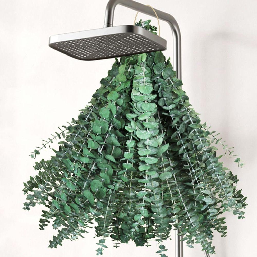 10 ks Pravé Listy Závěsné Sušený Eukalyptus 22 palců Konzervované Stonky Eukalyptu Závěsné do Sprchy