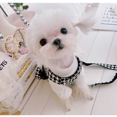 Haustierhund, Katze Kleidung, kleiner duftender Wind, Tausendvogelgitter Zuggeschirr, Teddybär, Tanktop-Stil Hundeleine zum Spazierengehen