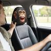 2 Pezzi Copri Poggiatesta Auto Antipolvere Federa Divertente per Cuscino Auto Decorazione Quotidiana per Auto