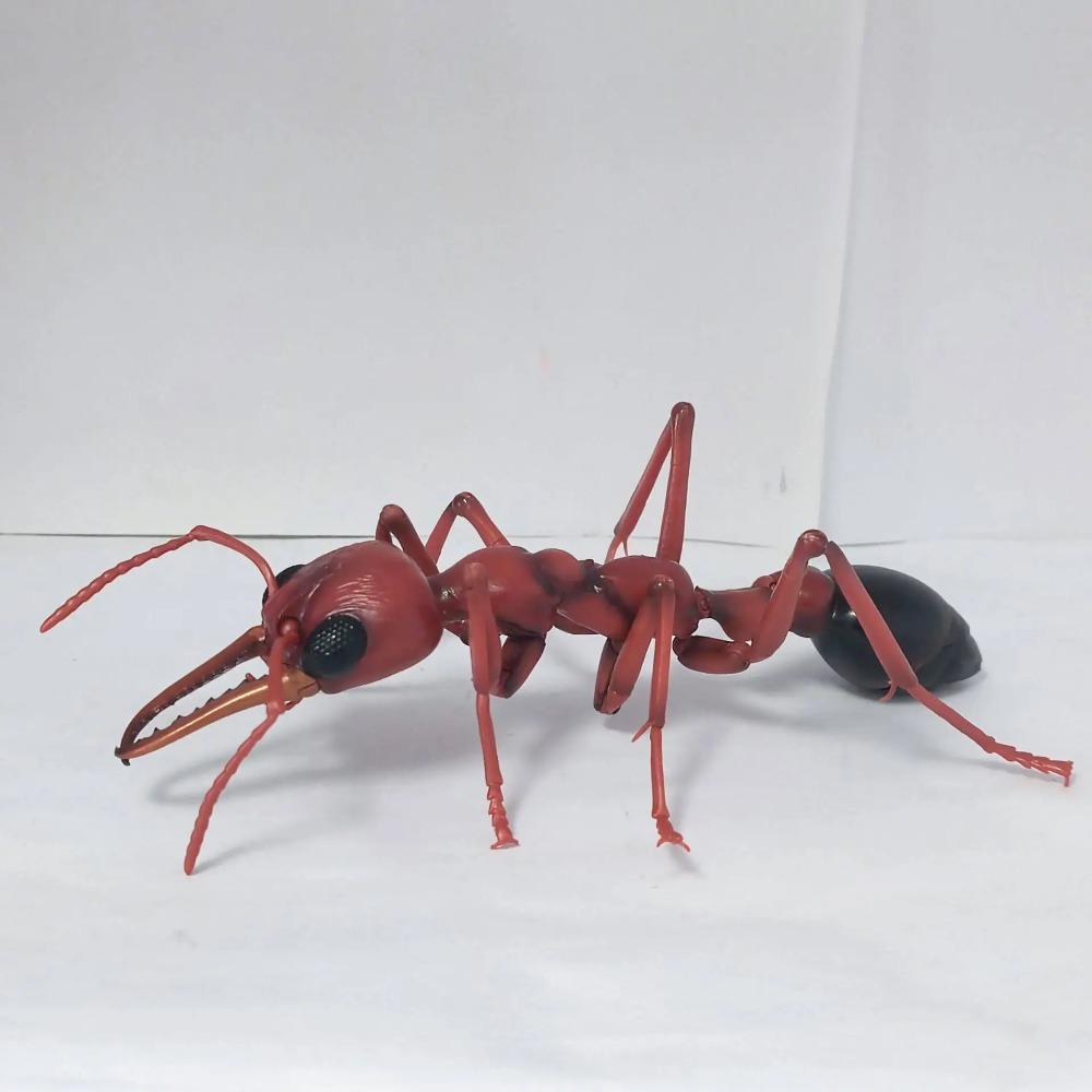 Original Bandai Simulation Insect Realistic Wasp Myrmecia Bulldog Ant Premium Lifelike Collect Model Toys Gifts
