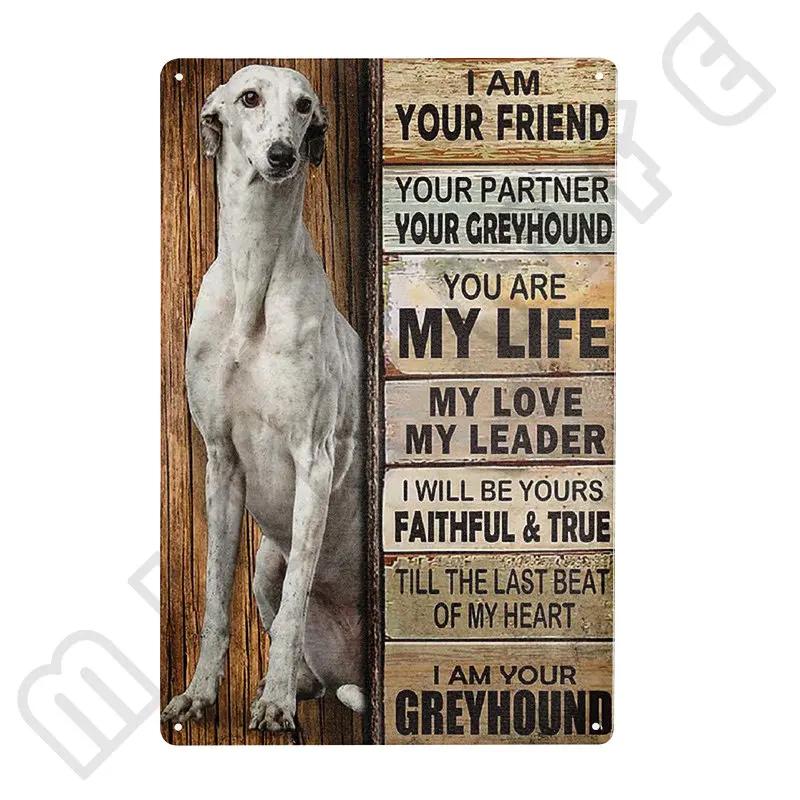 Windhund Metallschild Ich bin dein Freund Ich bin dein Windhund Poster Badezimmerzimmer Küche Garage Zuhause Kunst Wanddekoration