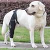 Upgraded Dog Hind Leg Knee Brace Built‑in Metal Support Joint Protection Wrap for Injury Post‑surgery Recovery Walking Assist Pet Supplies
