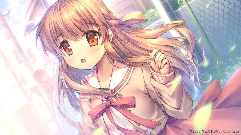 Memorial BOX newly drawn B2 ONE. [with tapestry]