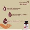 SHILAMRIT Plant Based Liver Capsule | 100% Ayurvedic Ingredients | Liver cleanse & detox supplements for men & women | Milk Thistle, Dandelion &