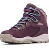 Columbia Newton Ridge Omni-Heat II Hiking Boots