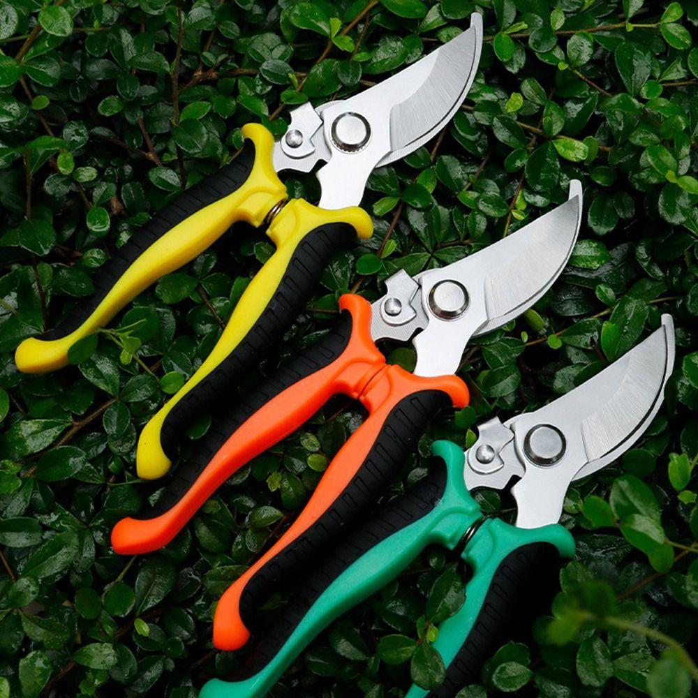 Garden Tool Branch Pruning Scissors Stainless Steel Fruit Picking Scissors Horticultural Scissors