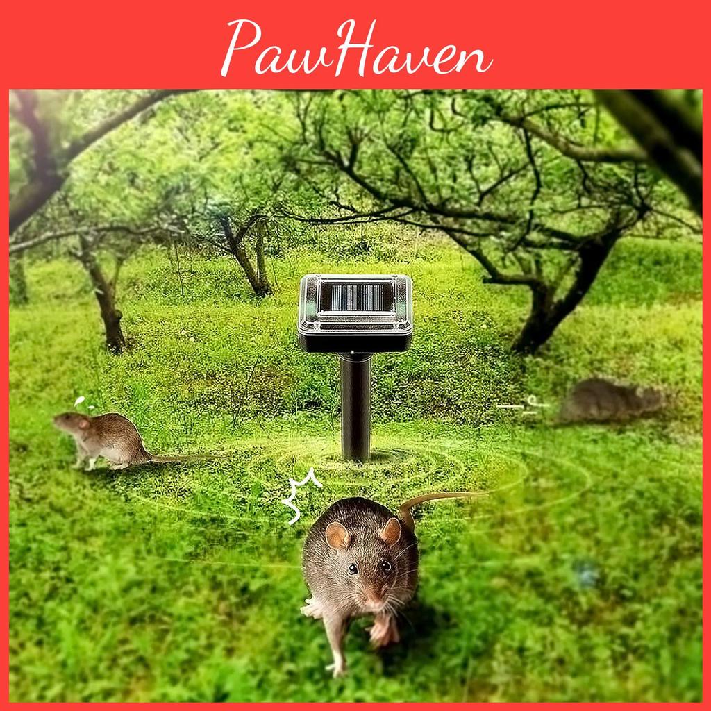 Kein IP Solar Schädlingsbekämpfer Elektronischer Ultraschall Nager- und Vogelabwehrer für Garten und Rasen