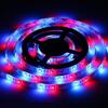 5m 300-LED DC12V RGB 3528 SMD Car Off-Road Glow Atmosphere Lamp Strip Waterproof