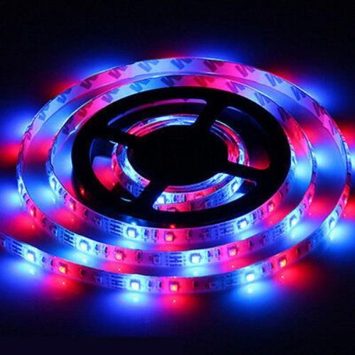 5m 300-LED DC12V RGB 3528 SMD Car Off-Road Glow Atmosphere Lamp Strip Waterproof
