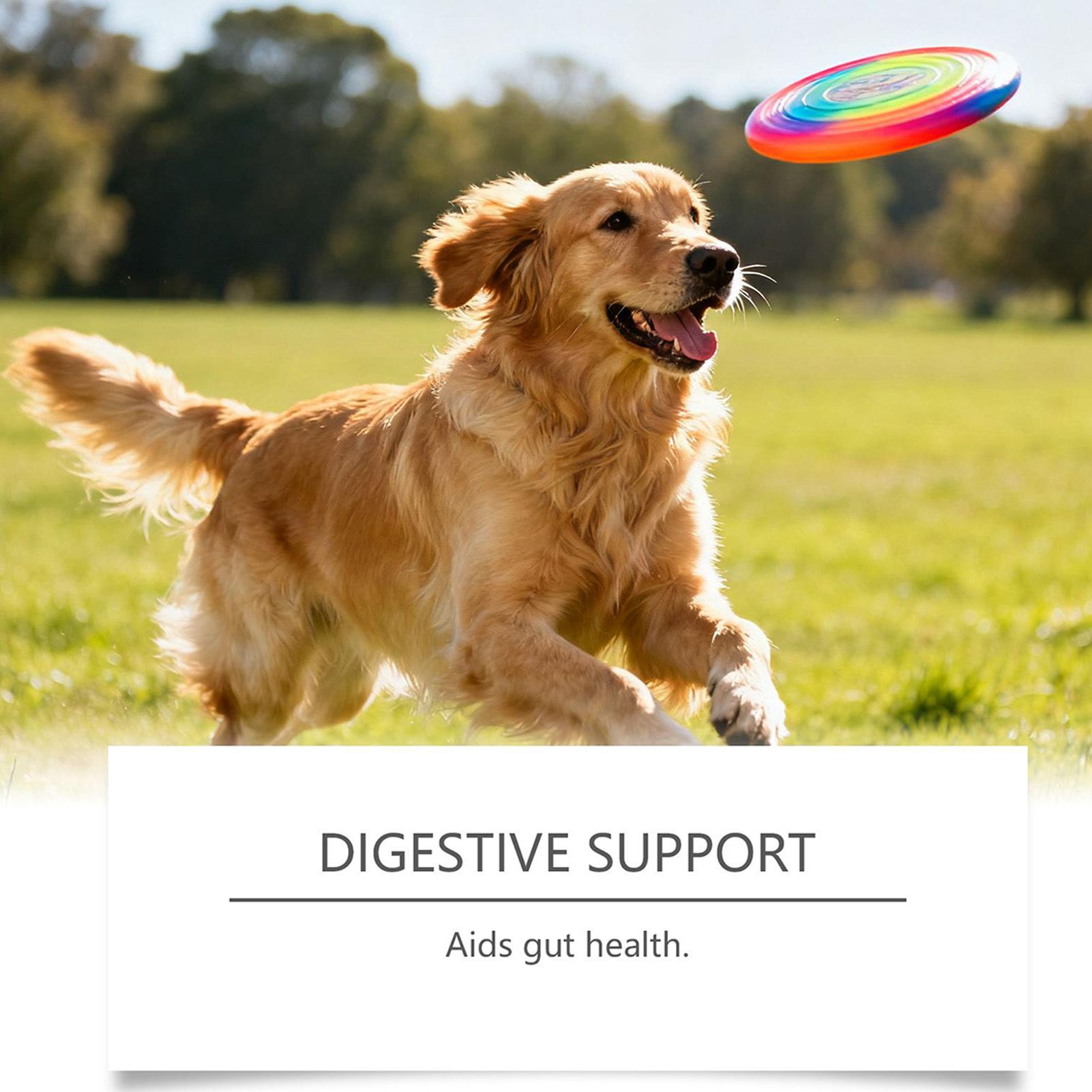 Joint Supplement For Dogs Support Chews 100-piece Dog Joint And Hip Supplement For Home Travel Daily Care Digestive Absorption China Mainland
