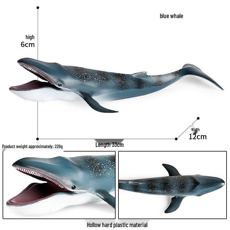Large Marine Animal Models for Children s Science Education: Blue Whale, Shark Toys, Ornaments, and Figures.