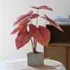Artificial Turtle Back & Caladium Leaf Plants - Small Potted Decorations for Office, Living Room, or Coffee Table