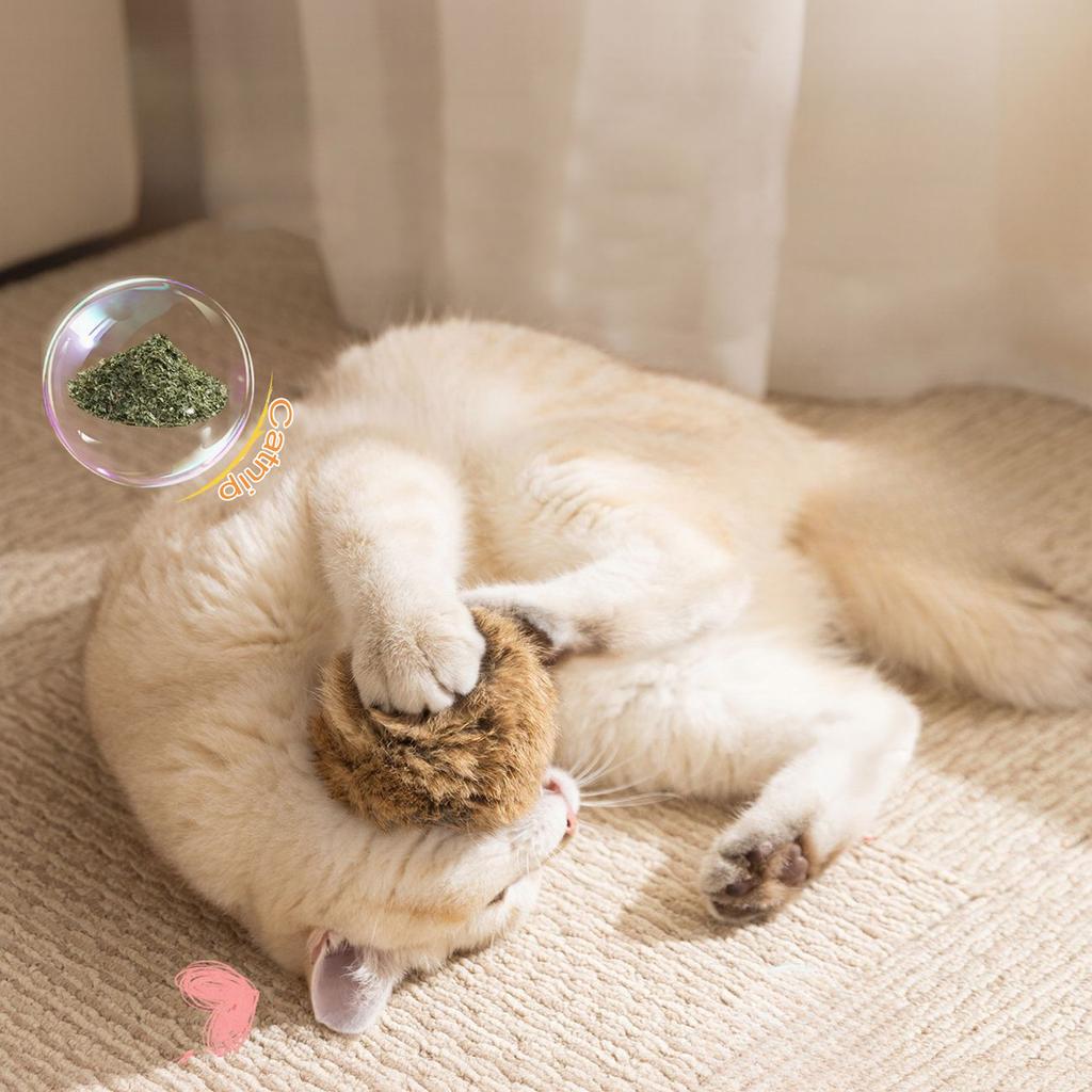 Katten speeltje konijnenbontbal echte konijnenbont speelse kattenbontbal rijke en aangename huisdierengeur snuffelende kat konijnenbontbal speelgoed