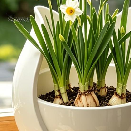 Water Culture Plant Holder Tulip Flower Shape Planter, 3D Printed Decorative Pot, Soil Cultivation Bowl Pot Modern Minimalist Container for
