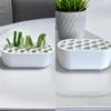 Stylish Hydroponic Pot with Scissors for Garlic and Scallion Regrowth Enhances Kitchen Decor