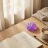 - - Maltose Squeezable Toy - Slow- Stress Relief Toy