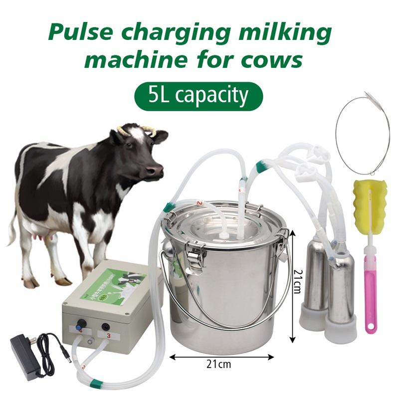5L Elektrische Trekkracht Vee Waterdispenser, geschikt voor runderen en schapen, draagbare landbouwfokapparatuur