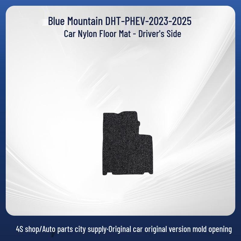 Removable Nylon Floor Mats for Blue Mountain DHT-PHEV-23-25 Cars