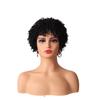 Wig Short Curly Wigs Synthetic Hair Wigs for Black Women, Short Curly Afro Wigs with Bangs Natural Curly Cosplay Party Daily Use