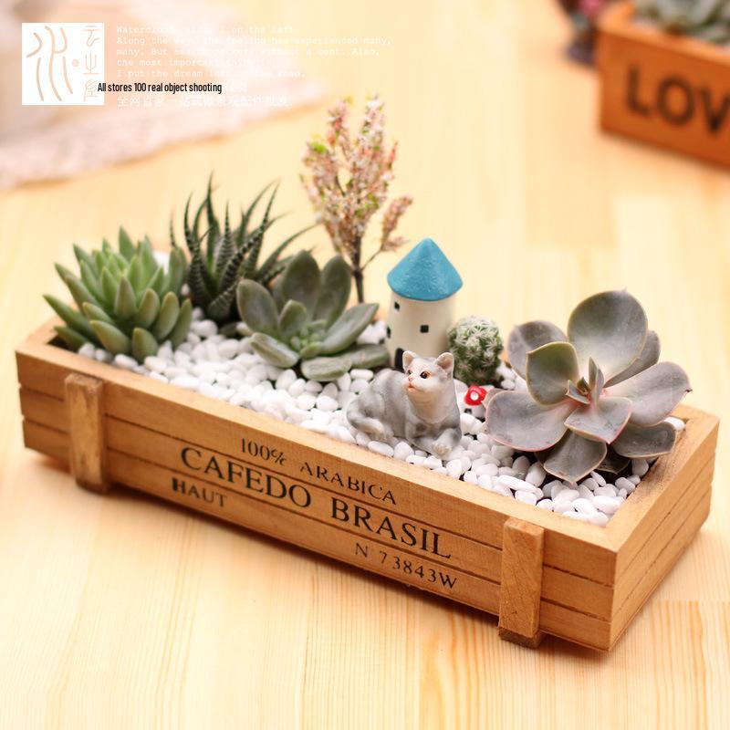 Rectangular Solid Wood Succulent Planter Box for Desktop or Balcony