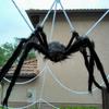 Halloween spider web, 5 meters, giant triangular, with spider