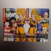 Used Dragon Ball Data Carddass Pair Card Set