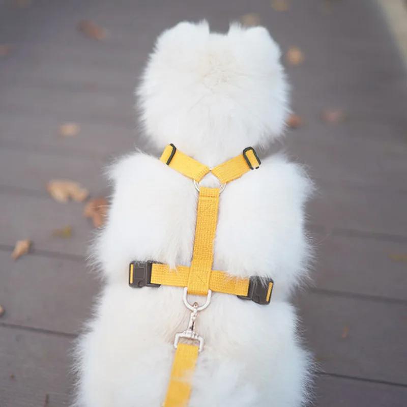 Classic Step-in Dog Harness and Leash Set-No Pull Pet Adjustable Halter Harness with Leash Easy Walk Running Training for Small Dogs&cat