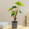 Umělá květina Bonsaj Simulovaná rostlina Umělá rostlina v květináči