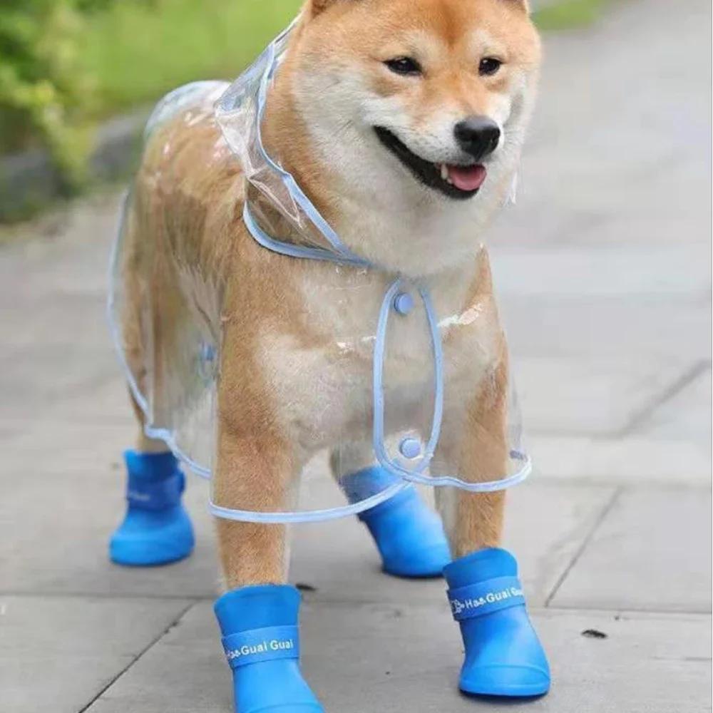 Genomskinlig Regnrock för Husdjur Regnjacka Vattentät Päls för Små Mellanstora Hundar Teddy Shiba Hund Poncho Utomhuspromenader Husdjurskläder