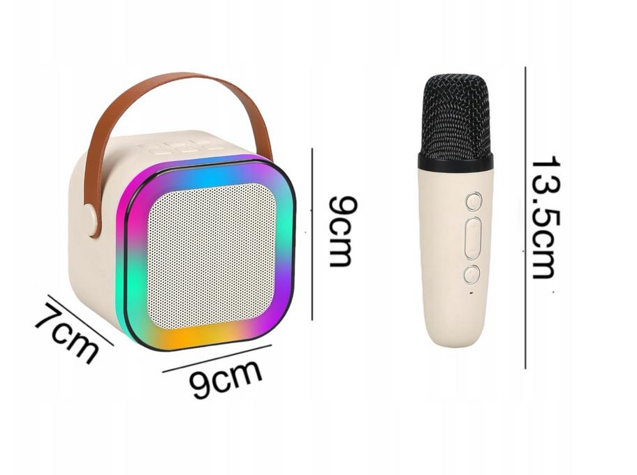 Karaoke Set with Two Microphones and a Wireless Bluetooth Speaker for Children