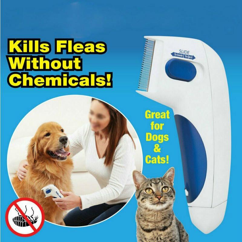 flea comb for cats