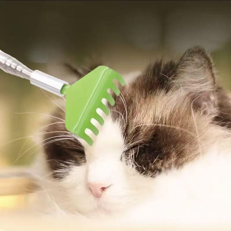 Retrattile per Animali Domestici Solletico Portatile Artifatto per Graffiare Cane Gatto Interattivo Giocattolo Solleticare Accarezzare Gatti Interattivo