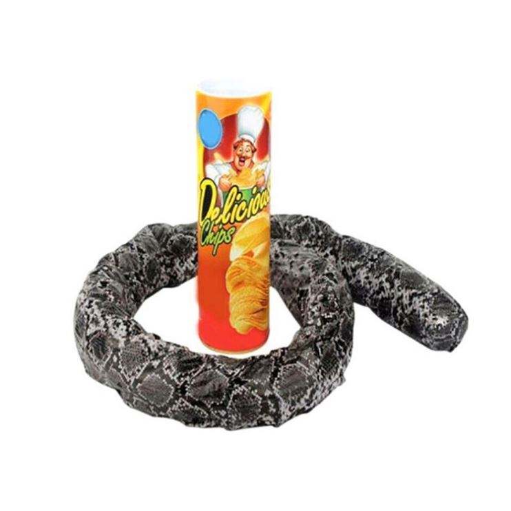 Funny Potato Chip Can Jump Spring Snake roach Toy Gift April Fool Day Halloween Party Decoration Prank Trick Fun Joke Toys