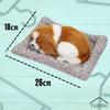 TASINO Dog Plush Toy Figurine Cavalier 26 X 18 Cm Realistic Cute Lifelike