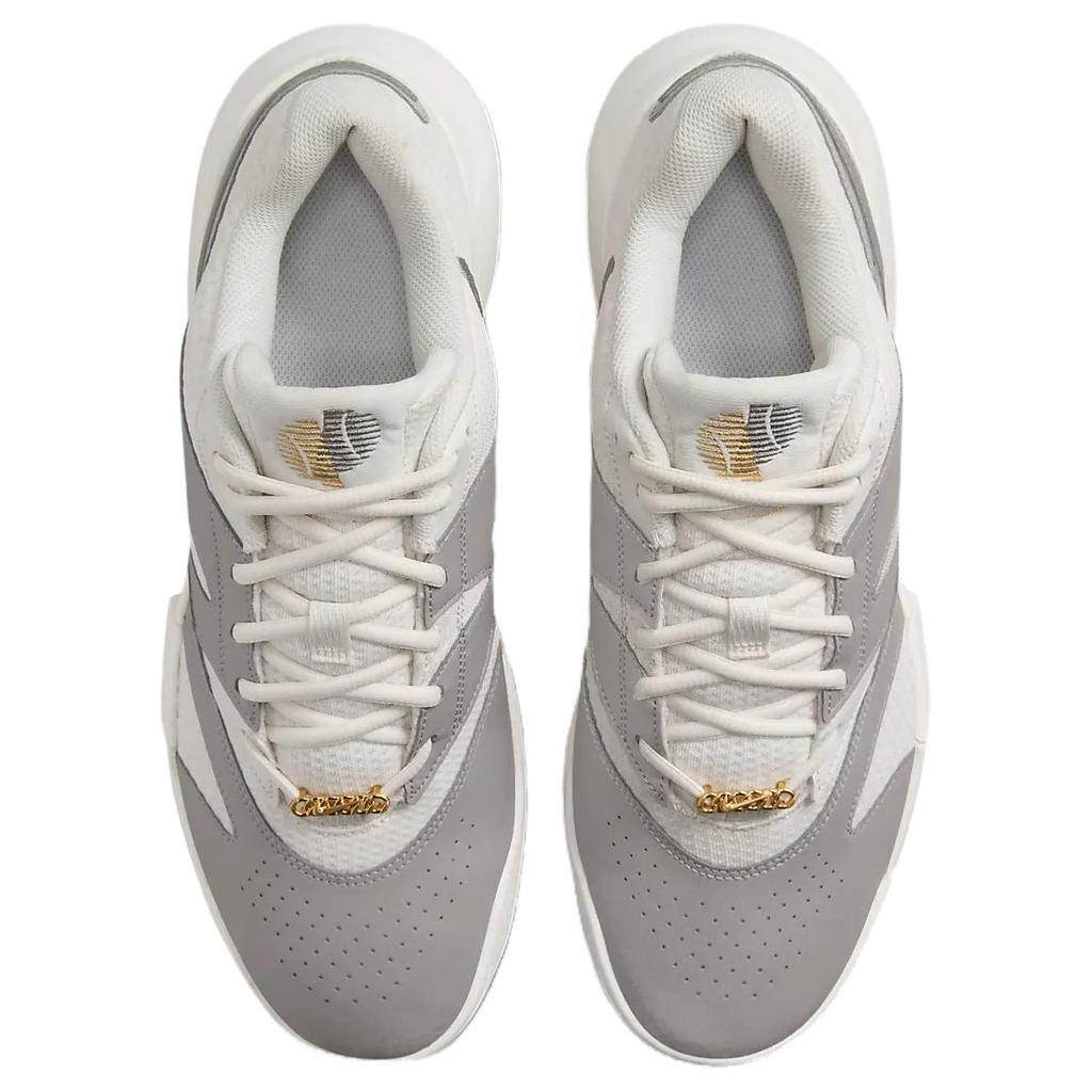 Nike Court Lite 4 Premium HC Gold Flair Pack Men Sneakers Grey Phantom College-Grey FZ1220-001