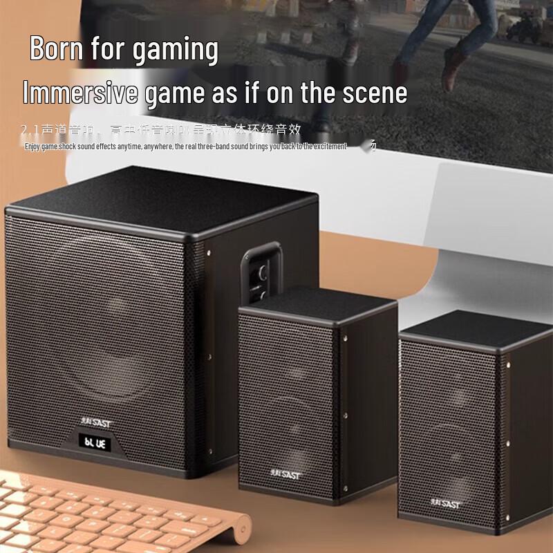 SAST A19 Home KTV Multimedia Bluetooth Speaker System CN Plug (adapter Included)