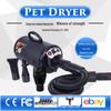 Shetland High-Power Pet Hair Dryer & Water Blower for Dogs