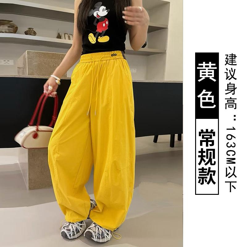 Dopamine Wide-leg Pants Women's Summer New High-waisted Loose Casual Yamamoto Pants Drape Straight Pants