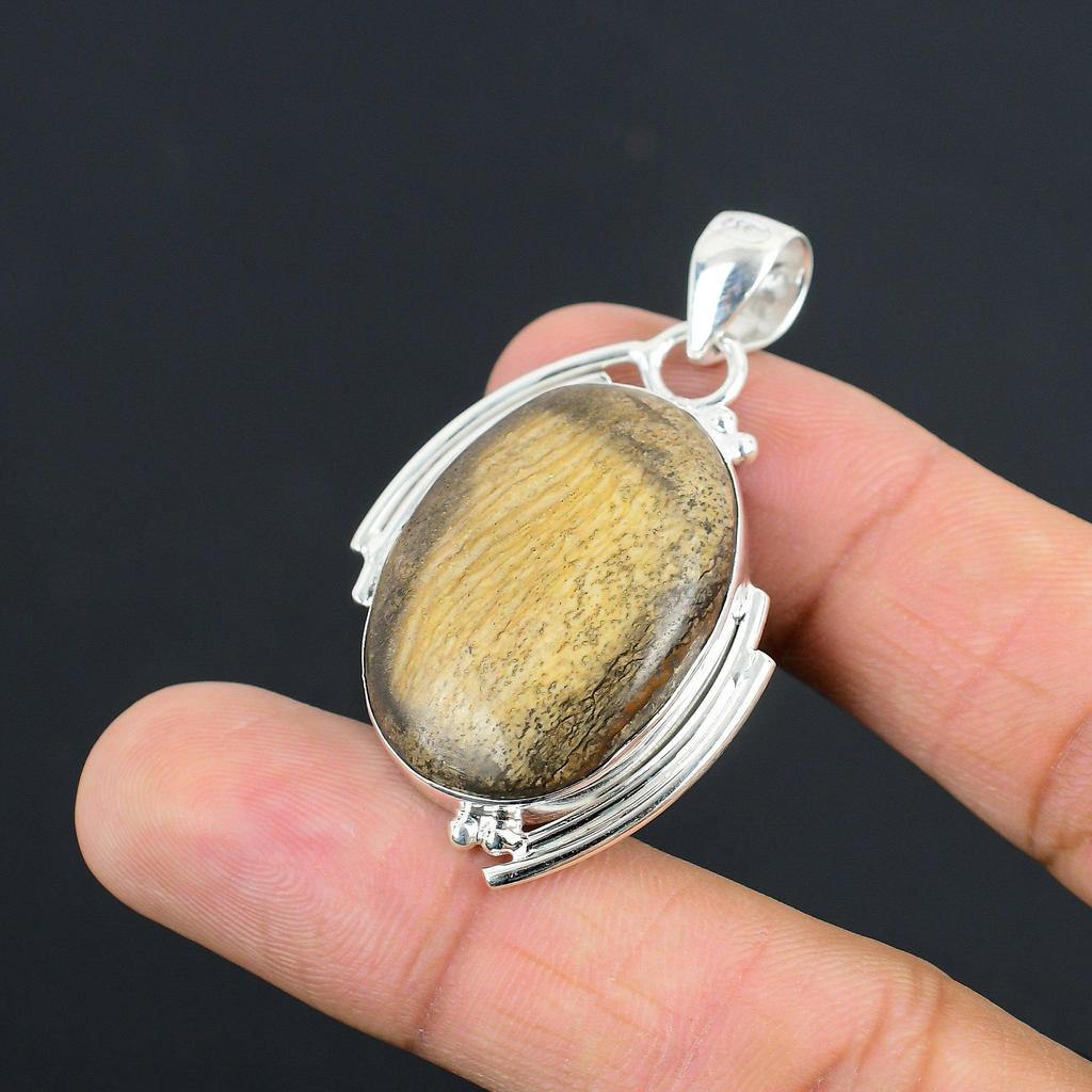 Naturlig Bildjaspis Ädelsten Hänge 925 Sterlingsilver Smycken För Flickor