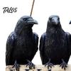 Vintage Style Wall Plaque Halloween Crow Door Hanger Sign, Wooden Black Welcome Gothic Natural Hemp Rope Sign Hanging Plaque, Rustic Outdoor Decor for