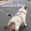 Adjustable Gradient Leash & Harness Set for Cats and Small Dogs