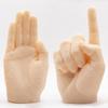 Parrot Training Fake Hand Simulation Finger Perch Safe Bite Resistant Desensitization Wear Resistant Resting Pole Realistic
