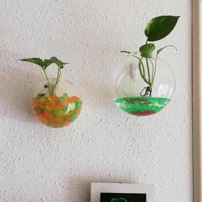 Wall-Hanging Fish Bowl Acrylic Plexiglass Fish Bowl Vase Pet Tank Aquarium Flower Plant Home Tank Fish Fish Clear Ornament E1E3